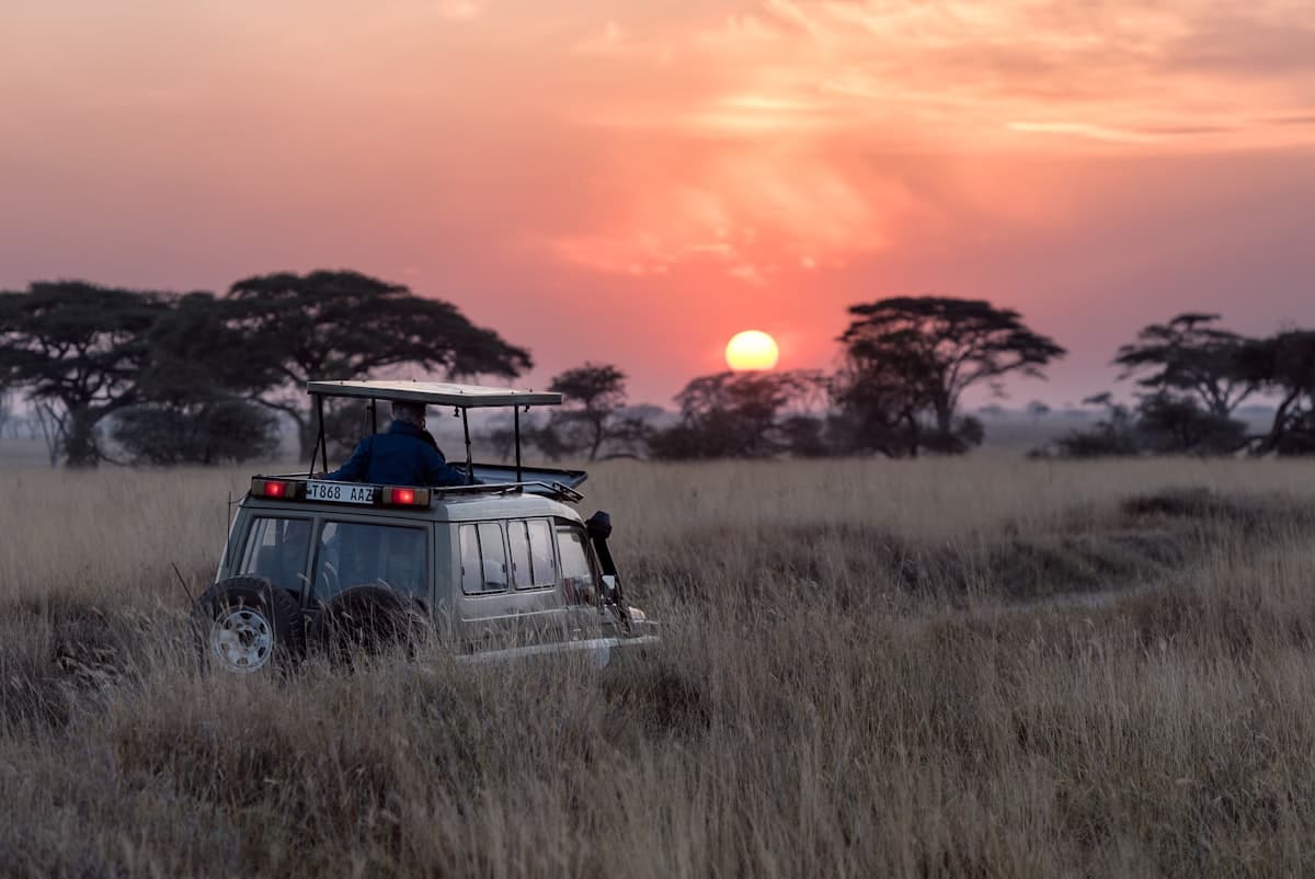 Afrique: une nouvelle génération de rangers s'engage pour la conservation des éléphants